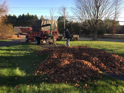 fall cleanup services new hampshire